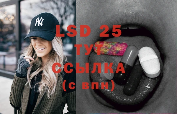 Альфа ПВП Гатчина