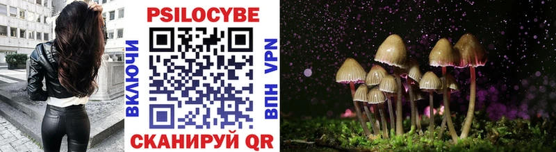 Галлюциногенные грибы Magic Shrooms  наркошоп  Котельнич 